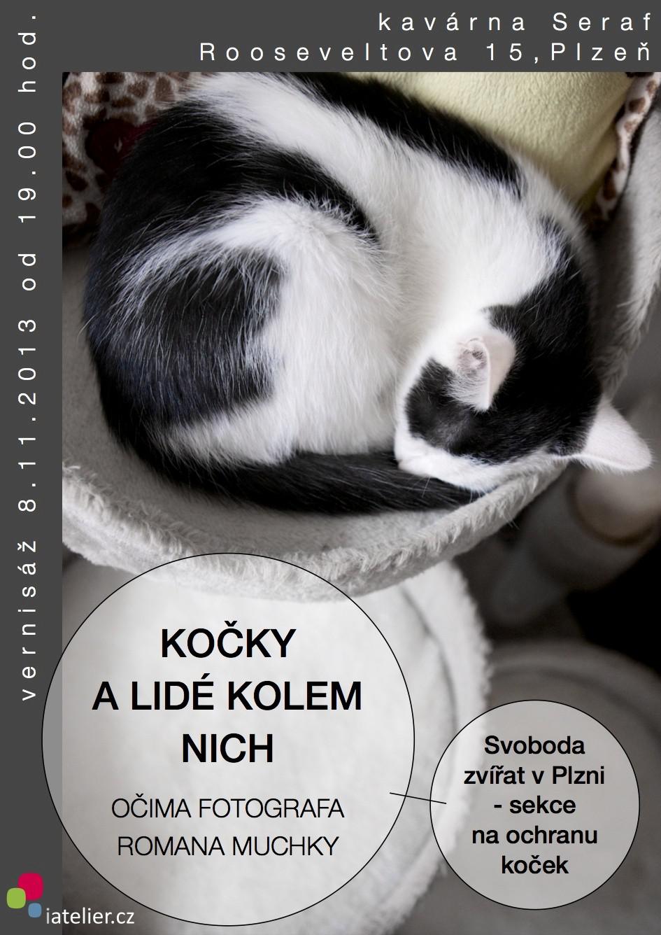 Zaproszenie na wystawę zdjęć & # 8222; Koty i ludzie w pobliżu & # 8220;