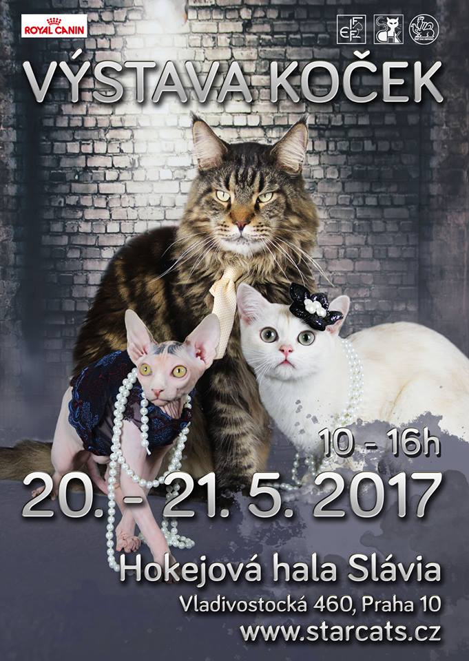 Zaproszenie: Międzynarodowa Wystawa Kotów Praskich Slavia 20.-21. Maja 2017 r