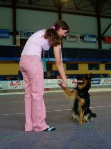 Dogdance