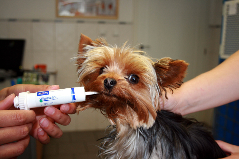 Worming