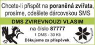Zaproszenie na Podblanicką pejskiadę