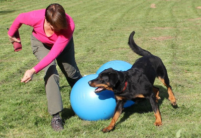 Treibball