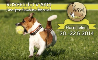 Russelczycy w akcji