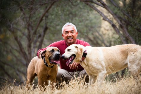 Najpopularniejszy trener psów Cesar Millan po raz pierwszy w Czechach
