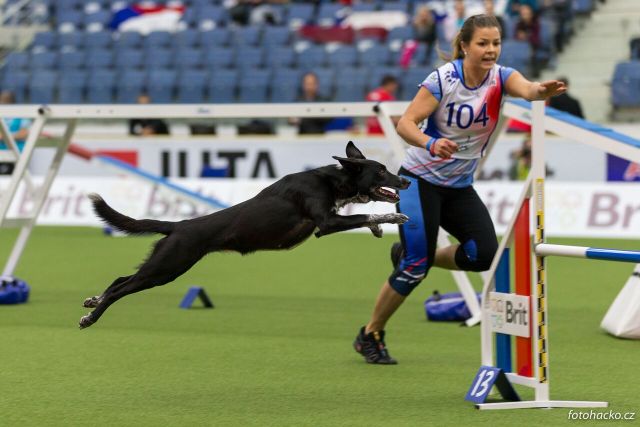 Liberec zna mistrzów świata w zwinności