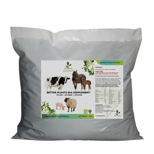 Ibero Natural Kelp / Wodorosty - 20 kg