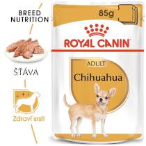 Royal Canin Pies Chihuahua - 85g