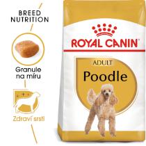 Royal Canin Dog Adult Poodle - 500g
