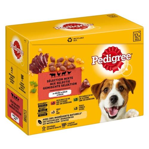 Pedigree Adult Mieszany wybór w galaretce - 12 szt