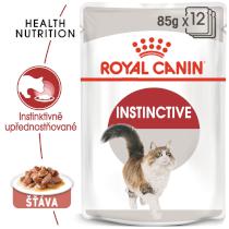 Royal Canin Pouch Instinctive Gravy - 12 x 85g