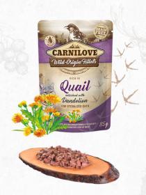 Carnilove Cat Sterylizowana Przepiórka z Mniszkiem - 85g